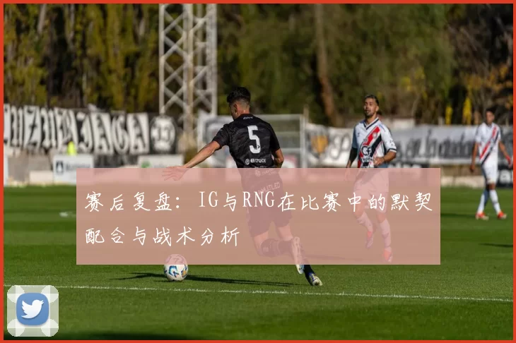 赛后复盘：IG与RNG在比赛中的默契配合与战术分析