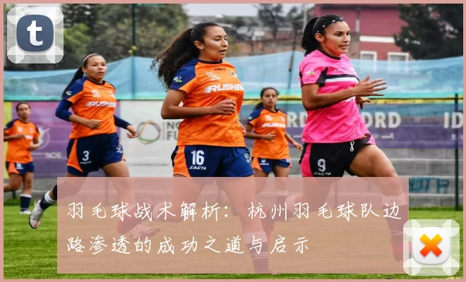 羽毛球战术解析：杭州羽毛球队边路渗透的成功之道与启示