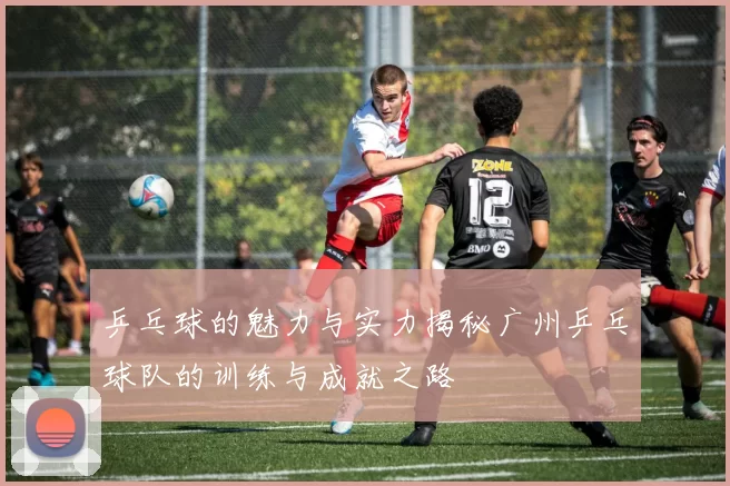 乒乓球的魅力与实力揭秘广州乒乓球队的训练与成就之路