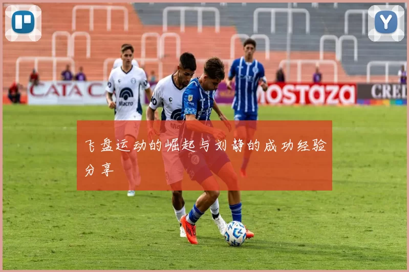 飞盘运动的崛起与刘静的成功经验分享