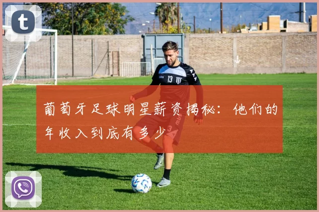 葡萄牙足球明星薪资揭秘：他们的年收入到底有多少