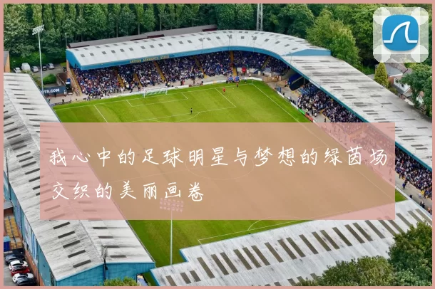 我心中的足球明星与梦想的绿茵场交织的美丽画卷