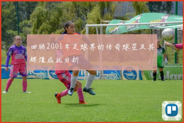 回顾2001年足球界的传奇球星及其辉煌成就分析