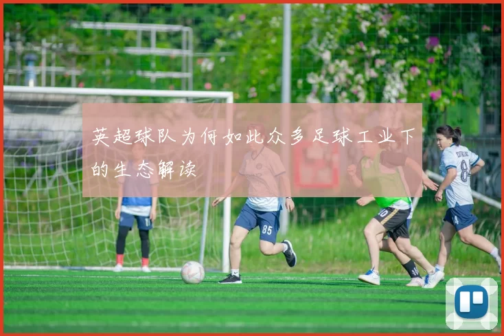 英超球队为何如此众多足球工业下的生态解读