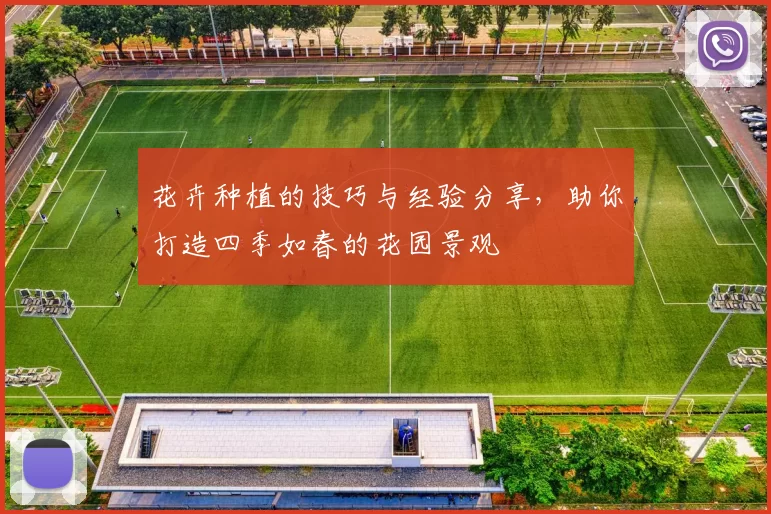 花卉种植的技巧与经验分享，助你打造四季如春的花园景观