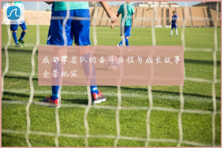 成都攀岩队的奋斗历程与成长故事全景纪实