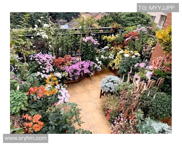 花卉种植技巧与美化环境的完美结合从家庭阳台到庭院的花卉养护指南